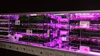 Urban Vegetable Garden System with LED Lighting  #DigInfo