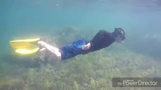 FREEDIVING 2018