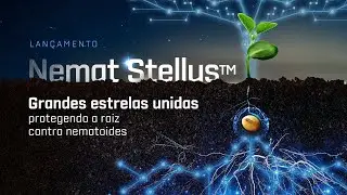 Nemat Stellus