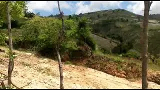 Reforestation campaign - with our university students partners from UNICA