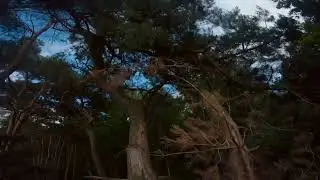 Raw FPV Freestyle One Pack | Mr. Steele 4s Alien Test Flight #fpv #tbs #gopro #ethix #drone #test