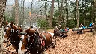 NO VEHICLES ALLOWED!! Draft Horses Pulling Canoes into Adirondack Park for a Week Long Hunting Trip!