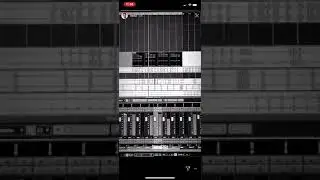Zedd & Curbi - ID