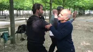 Application martiale du tai chi chuan style Chen : 