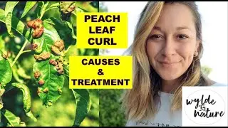 Peach Leaf Curl &ndash; Organic Treatment | при участии Wylde By Nature