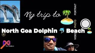Goa || Dolphin Tour || Coco Beach || The Walkers