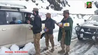 murre accident 8/1/2022