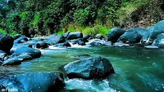 Calm Your Mind Instantly with Peaceful River Stream & Natural Forest Ambience  #12