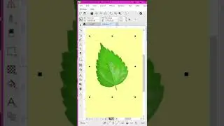 Remove Background Color in One Click | Background remove in CorelDRAW | PNG Maker