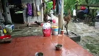 Wildlife Encounters Discovering Nature in Rural Areas