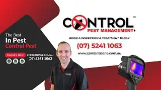 Eradicating Cockroaches: Pest Control Brisbane in Stafford, Brisbane, Hendra!