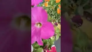 swim in the flowers #3