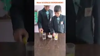 Why Objects Float or Sink? Easy Science Experiment for Students @rocketstudyacademy #shorts #2026