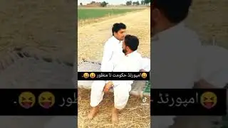 #pti #ptilovers