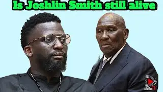 Ashley Sauls Question Bheki Cele | Ad Hoc committee 