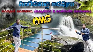Maredumilli waterfalls 