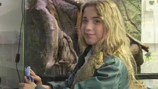 Bede's Zoo