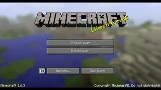Saving Minecraft Structures for 1.7 with 1.6.3/4 - A Note of Caution