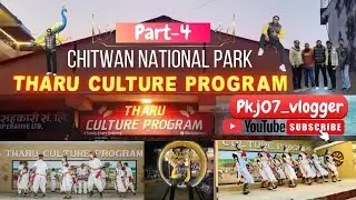 (Part-4) . Sauraha Night View ✨ Tharu Cultural Program Experience | Maja Aa Gaya 😃 Paisa Vasool 😁