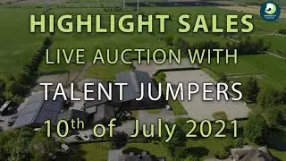 Trailer | Highlight Sales@Springflut Festival - Reitpferde