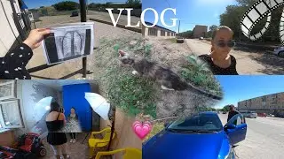 WIN's VLOG - ПОДГОТОВКА К ПОСТУПЛЕНИЮ В КОЛЛЕДЖ. FLOWERSWIN
