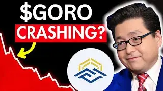 GORO Stock CRASHING Next!? (Thank Me Later Bro) Gold Resource Corporation stock best broker review