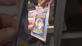 Check it out 💙😎 #psa #blastoise #pokemon #piplup #tagteam #cosmiceclipse #sun&moon