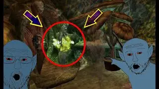 Ghosts At The Gateway Inn! - Morrowind Part 8