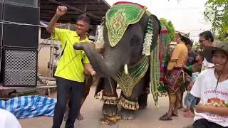 น้องดาวโชว์เดี่ยว ￼ อำเภอโพธิ์ชัย
