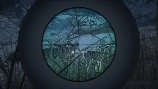 theHunter: Call of the Wild.Mule Deer,Woodland Carabou,Manitban Elk down