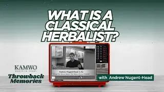 What is a Classical Herbalist?  Kamwo Meetup with Andrew Nugent-Head, L.Ac.