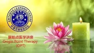 医学讲座 - Origin Point Therapy OPT