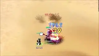 Nostale Private Server