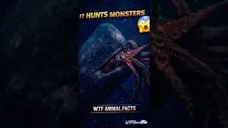 THE WHALE THAT HUNTS OCEAN MONSTERS 😳🐋 | WTF ANIMAL FACTS #shorts #viralshorts