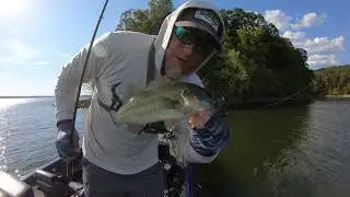Kentucky Lake Late Summer Fall Transition August 2025