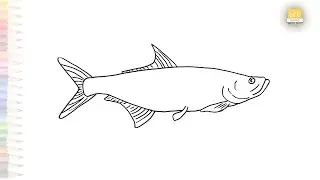 Fish salmon drawing | Fish drawing tutorials | How to draw Salmon fish step by step | #artjanag