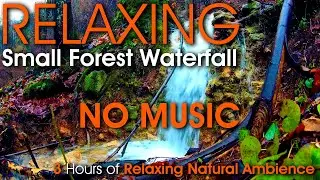 3 Hour Relaxing Beautiful Small Forest Waterfall with Soothing Sound of Water [No Music]