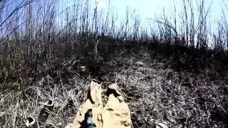 Hi