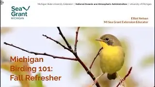 Michigan Fall Birding 101 Session 1 Fall Refresher