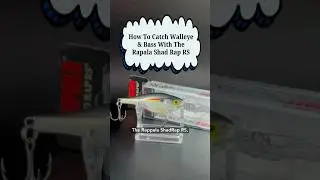 How To Catch Walleye & Bass With The Rapala Shad Rap RS (SRRS-5)