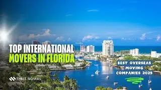 Top International Movers in Florida | Best Overseas Moving Companies 2025
