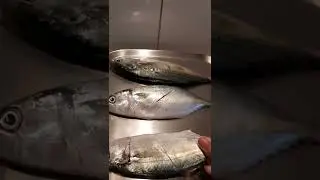 cooking fish using Saladmaster Griddle if u like this video pls subscribe my YouTube channel🥰