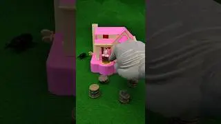 (AP-367) 😺💥📦 
