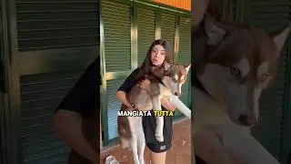 Cattivona🥲 #shorts #comedy #comedia