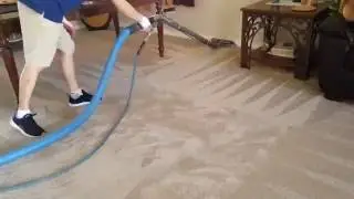 Carpet Cleaning Bolton - VitaClean