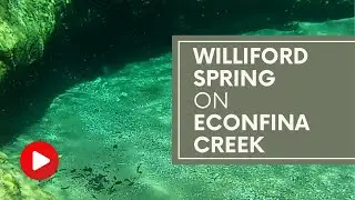 Williford Spring on Econfina Creek (NW Florida) #naturalspring #florida #econfina