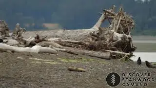 Discover the abundance of parks in Stanwood & Camano Island, WA