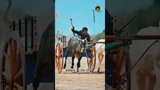ரேக்ளா 🚩களம் 😈#rekalarace #support #youtubeshorts #tamilan #vadivasal #bull #sports #india #follow