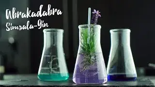 Der Gin der sich verf&auml;rbt: Illusionist erkl&auml;rt! Gourmondo Angeberwissen