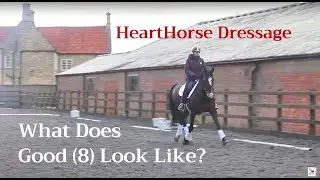 What does Good (8) Look Like? Get a British Dressage judge's perspective!